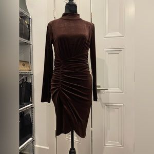 NWT Express Velvet Dress